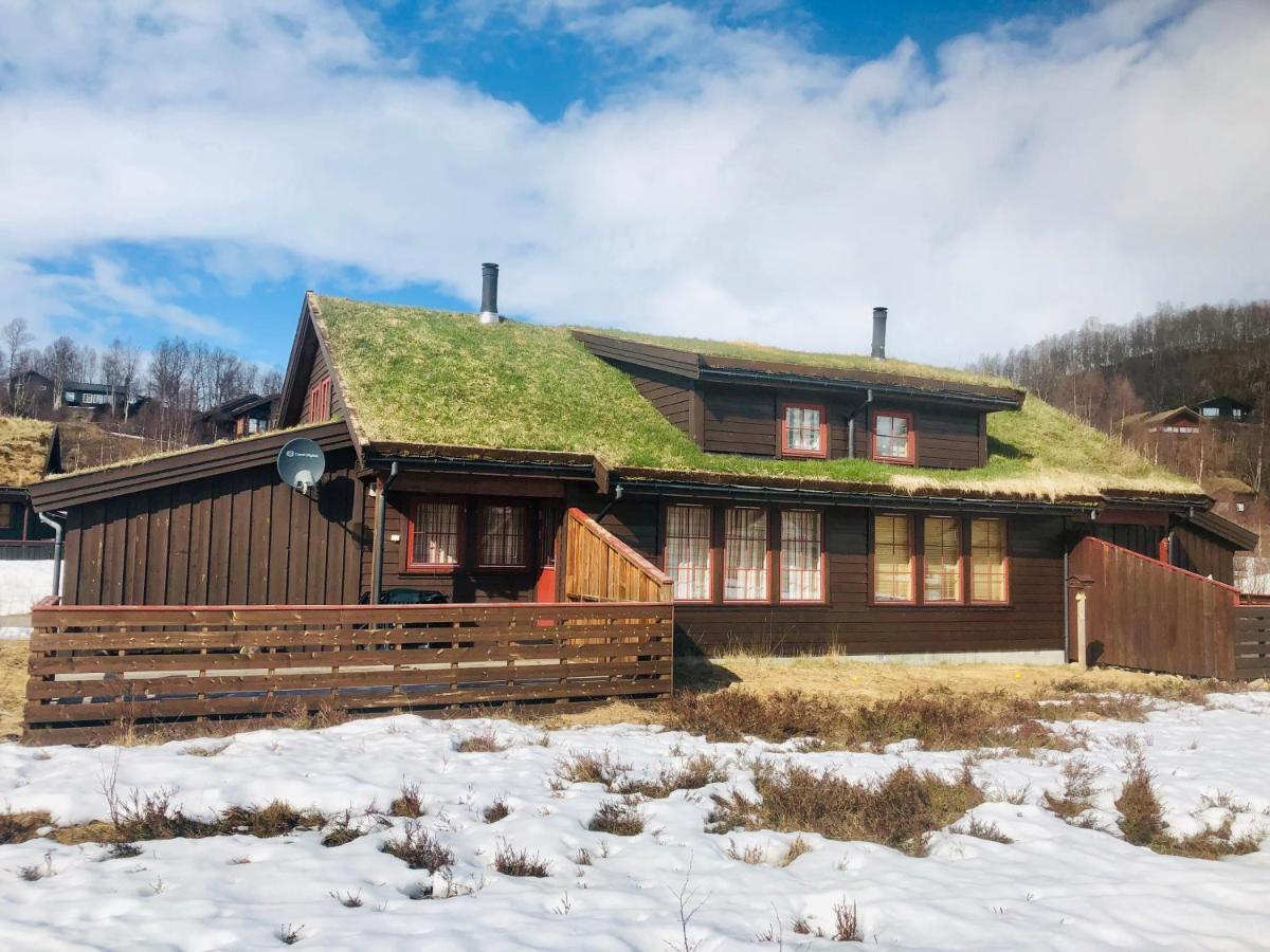Four-Bedroom Cottage In Sirdal Tjorhom Zewnętrze zdjęcie
